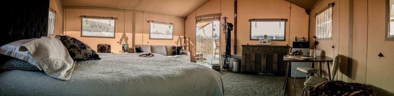 Country Retreat Glamping Hotel New Plymouth Bagian luar foto