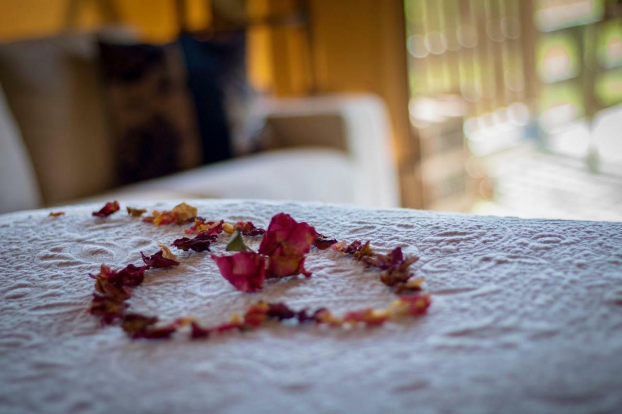 Country Retreat Glamping Hotel New Plymouth Bagian luar foto